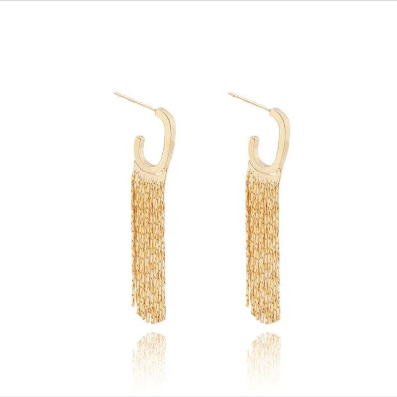 Elegant long tassel earrings