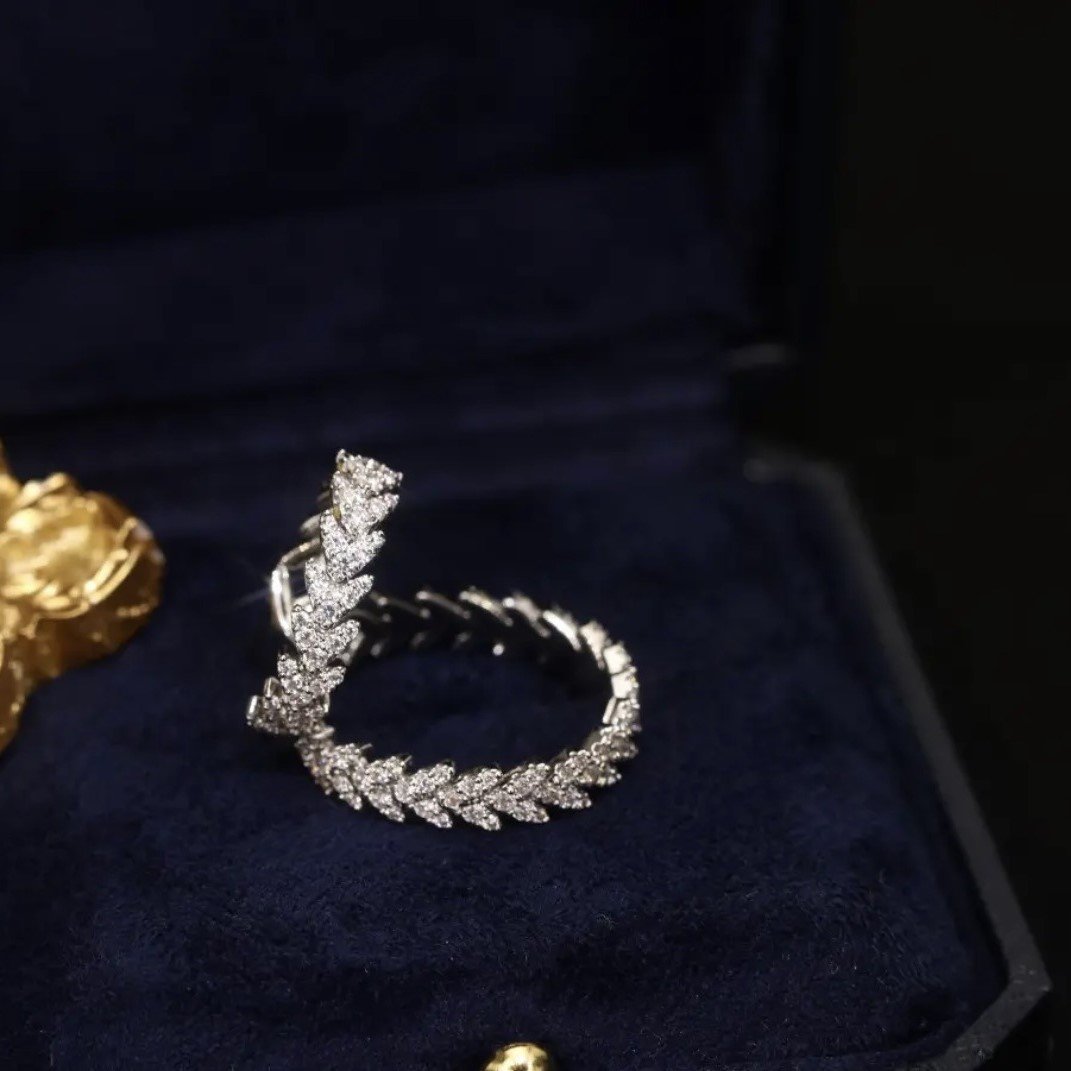 Zirconia Set Wreath Earring